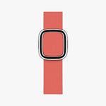 Apple Modern Buckle - Orange