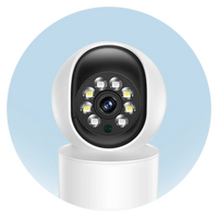 CCTV <br> Cameras