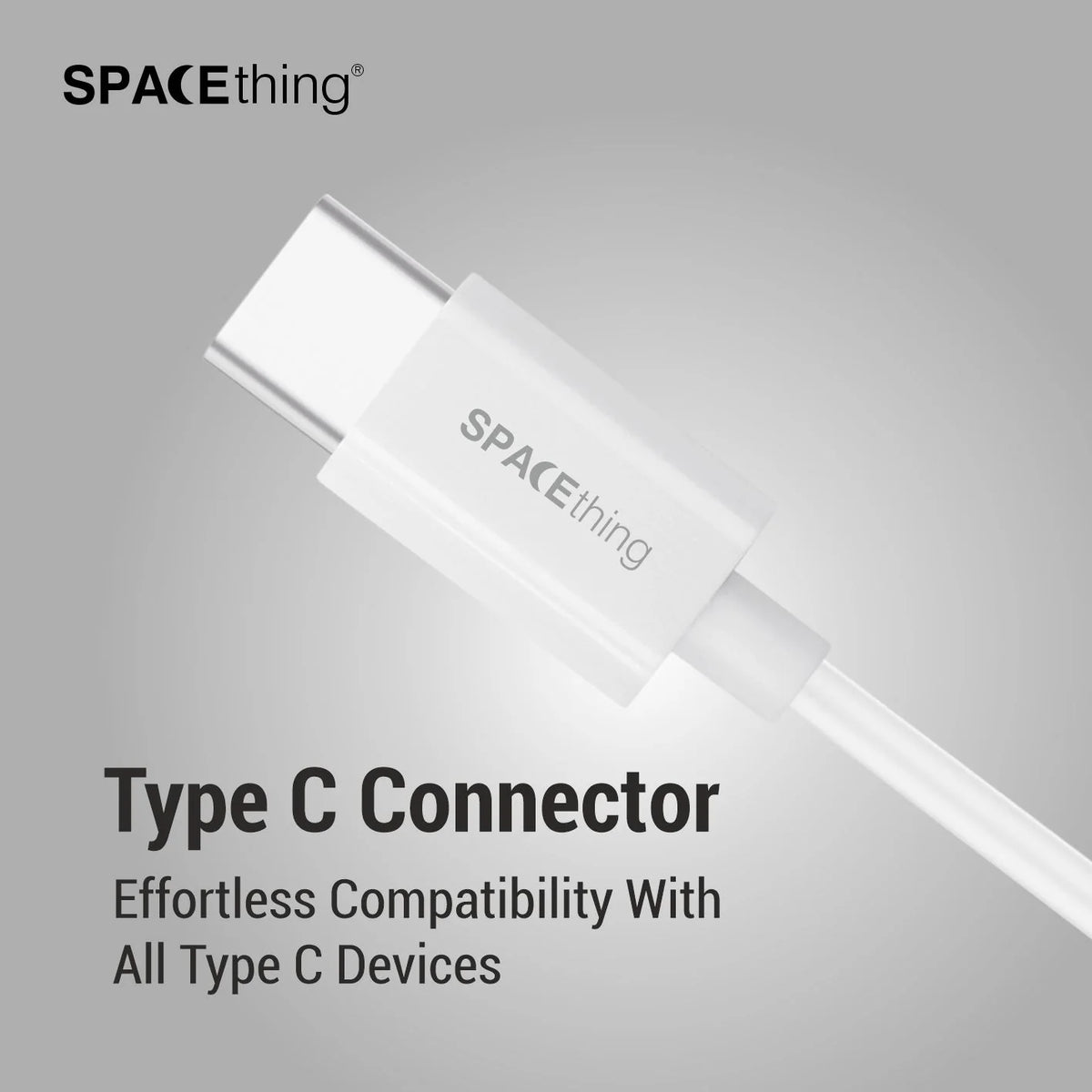 Spacething Veria Tune Type-C Earphone - Silver