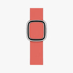 Apple Modern Buckle - Orange